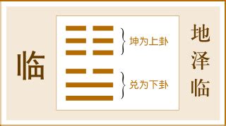 臨卦 感情|地澤臨是什麼？最完整詳解：地澤臨命卦、運勢財運、。